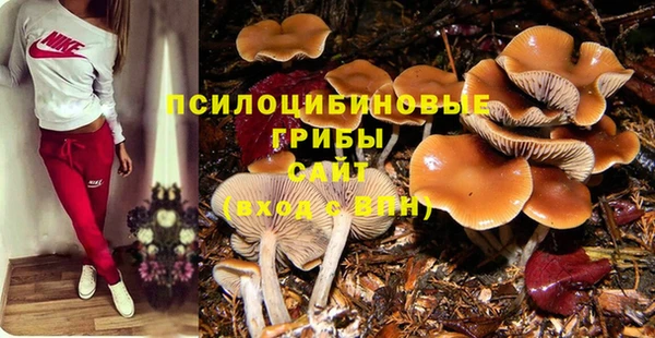 гашиш Аркадак