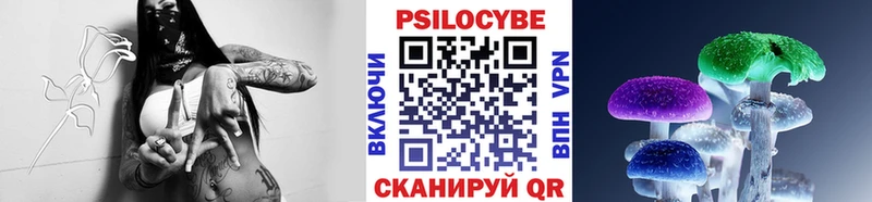 Псилоцибиновые грибы Psilocybine cubensis  продажа наркотиков  Полярные Зори 